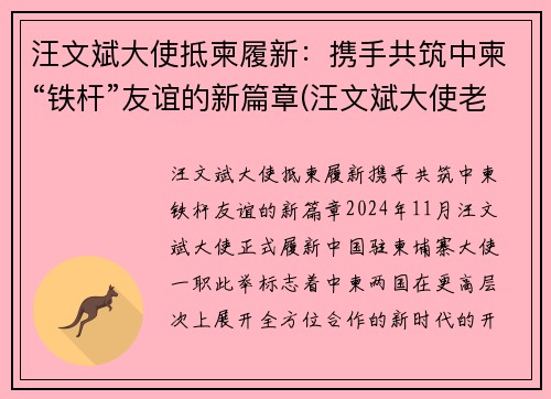 汪文斌大使抵柬履新：携手共筑中柬“铁杆”友谊的新篇章(汪文斌大使老婆)